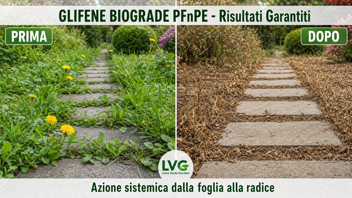 LVG GLIFENE BIOGRADE® PFnPE – Diserbante Totale