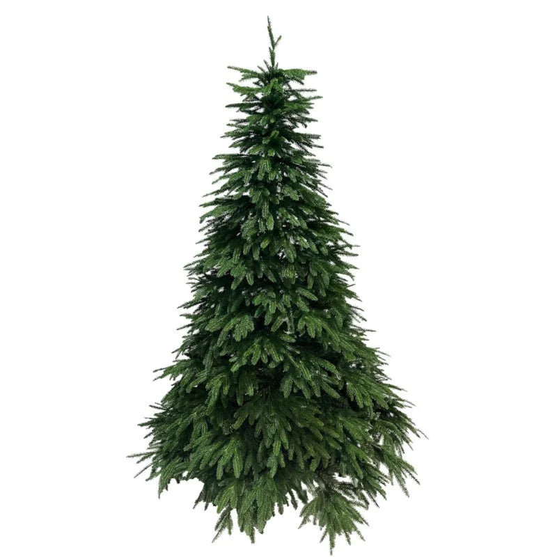 Albero di Natale Baltico