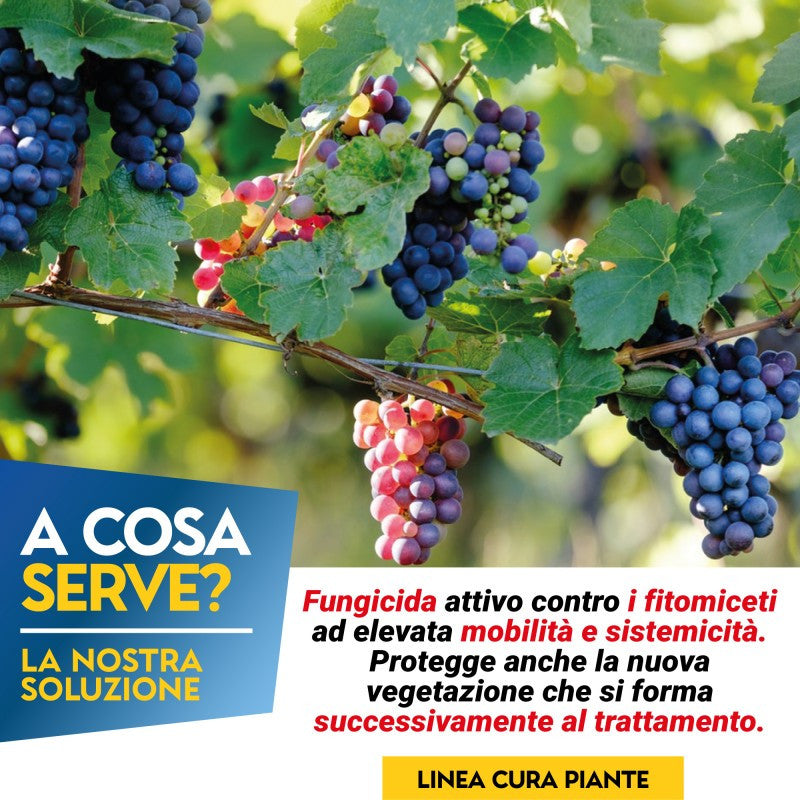 Fungicida ad ampio spettro MOMENTUM PFnPE GR.180