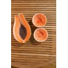 Ciotola Papaya orange Cote' Table