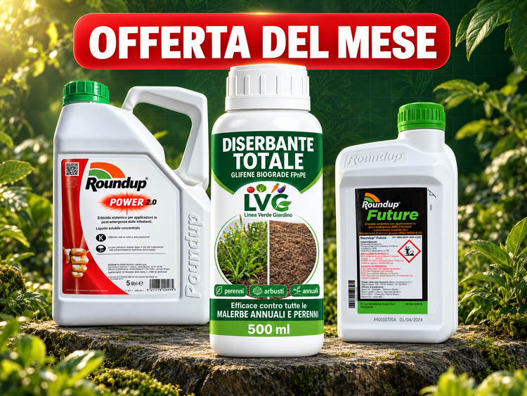 OFFERTE DEL MESE
