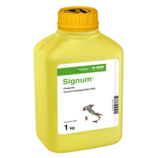Fongicide à large spectre SIGNUM 1KG