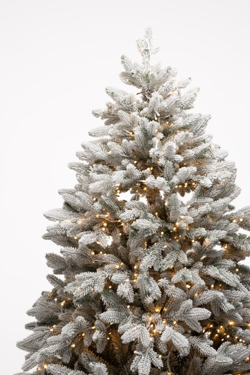 Albero di Natale Capella ricoperto di neve con LED a luce calda dorata accesi – foto 5