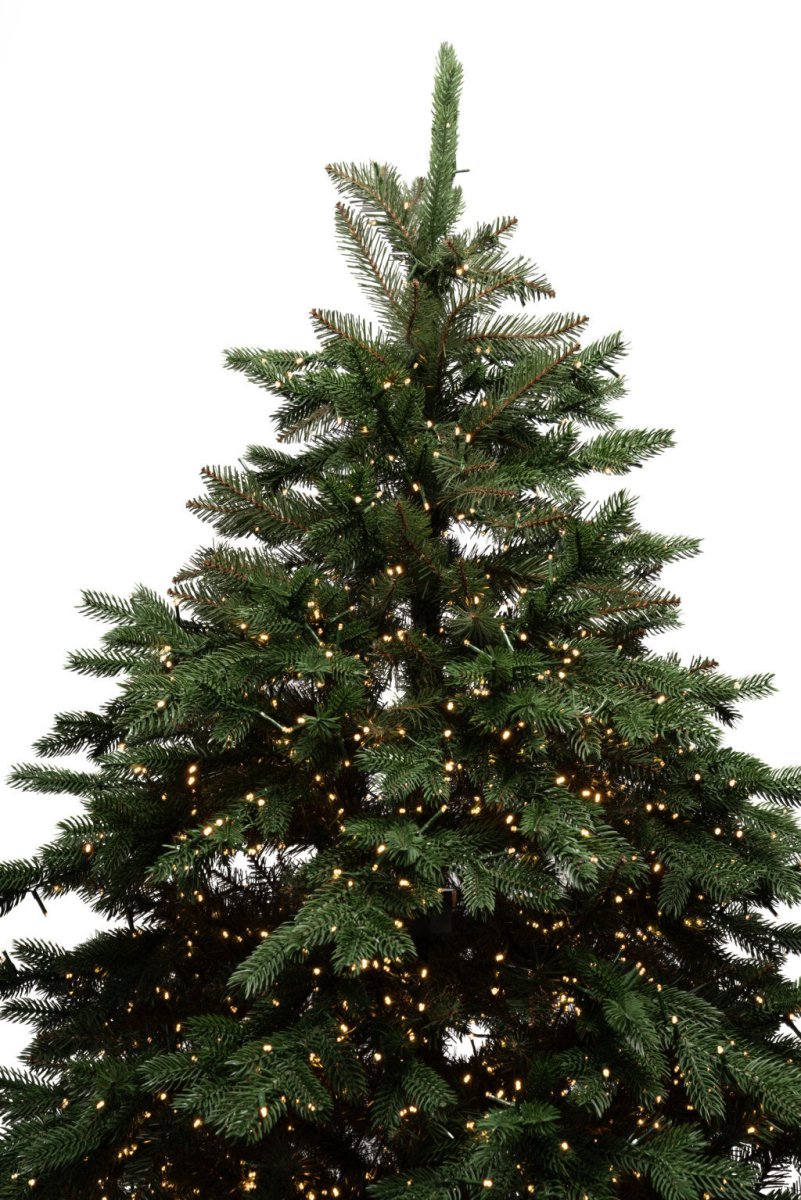 Albero di Natale Regolo illuminato da migliaia di LED, sistemato nel suo vaso quadrato – foto 4