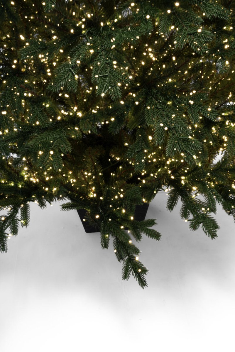 Albero di Natale Regolo illuminato da migliaia di LED, sistemato nel suo vaso quadrato – foto 5