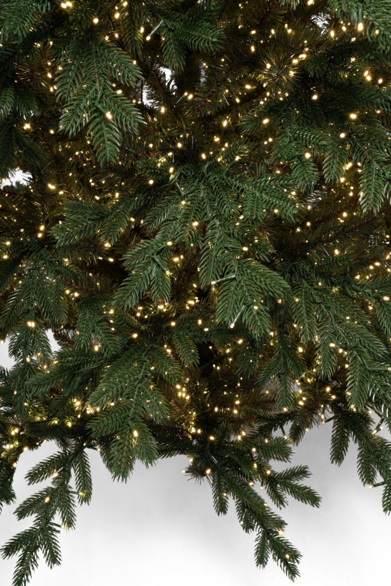Albero di Natale Regolo illuminato da migliaia di LED, sistemato nel suo vaso quadrato – foto 6