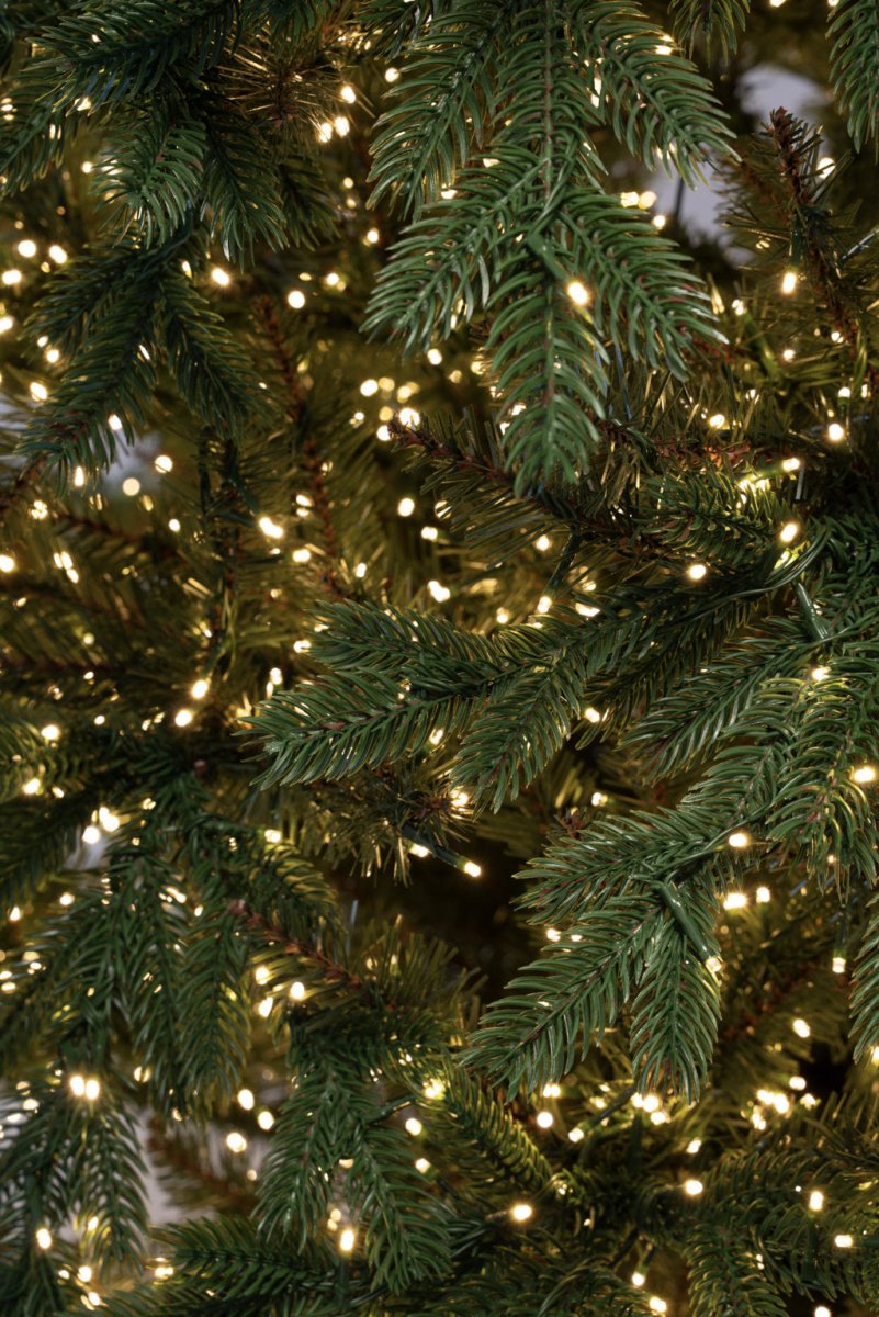 Albero di Natale Regolo illuminato da migliaia di LED, sistemato nel suo vaso quadrato – foto 7