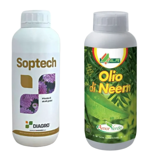 Insektizid-Set gegen Blattläuse 1 L – 2 Produkte