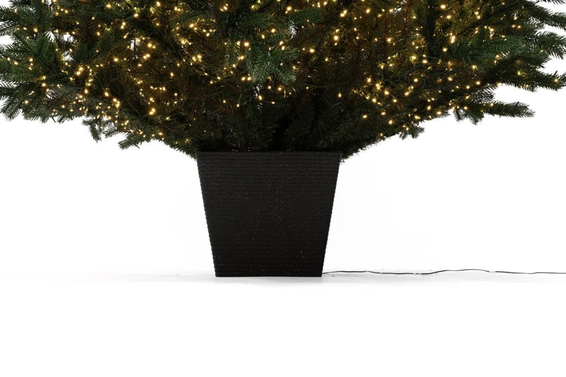 Albero di Natale Regolo illuminato da migliaia di LED, sistemato nel suo vaso quadrato – foto 8