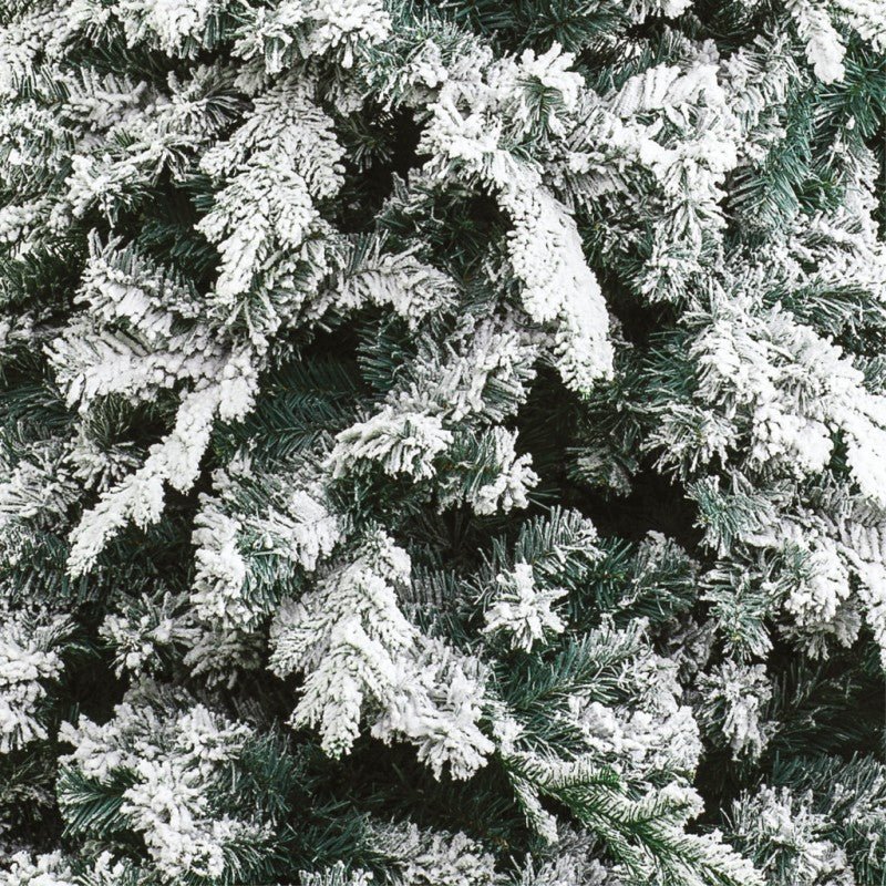 Gressoney, albero di Natale innevato con neve morbida su tutto il ramo e chioma irregolare – foto 10