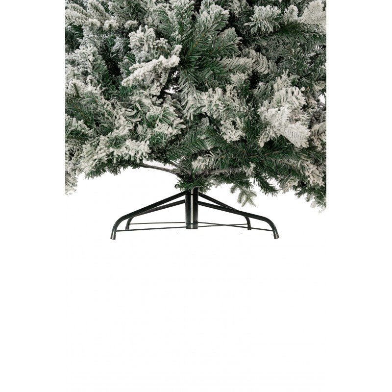 Gressoney, albero di Natale innevato con neve morbida su tutto il ramo e chioma irregolare – foto 11