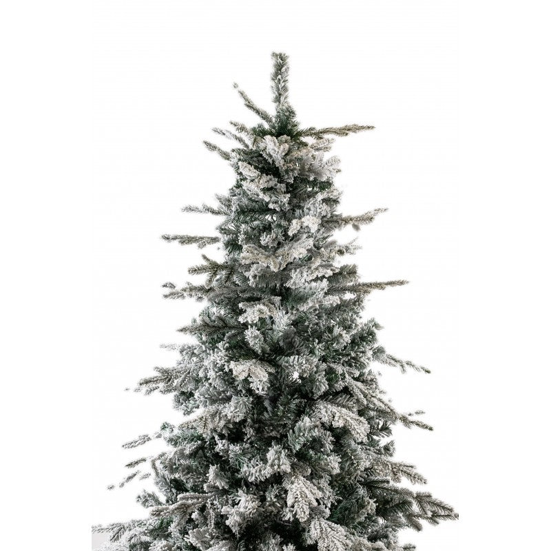 Gressoney, albero di Natale innevato con neve morbida su tutto il ramo e chioma irregolare – foto 2
