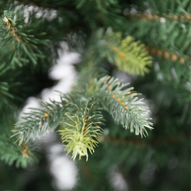 Abete artificiale Aspromonte LVG Design, chioma conica verde smeraldo folta e senza decorazioni – foto 2