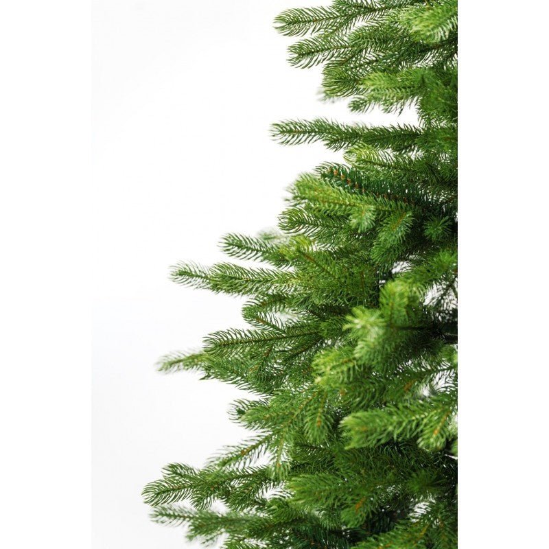 Lagorai, albero natalizio dalla base molto larga e rami irregolari come un pino alpino – foto 5