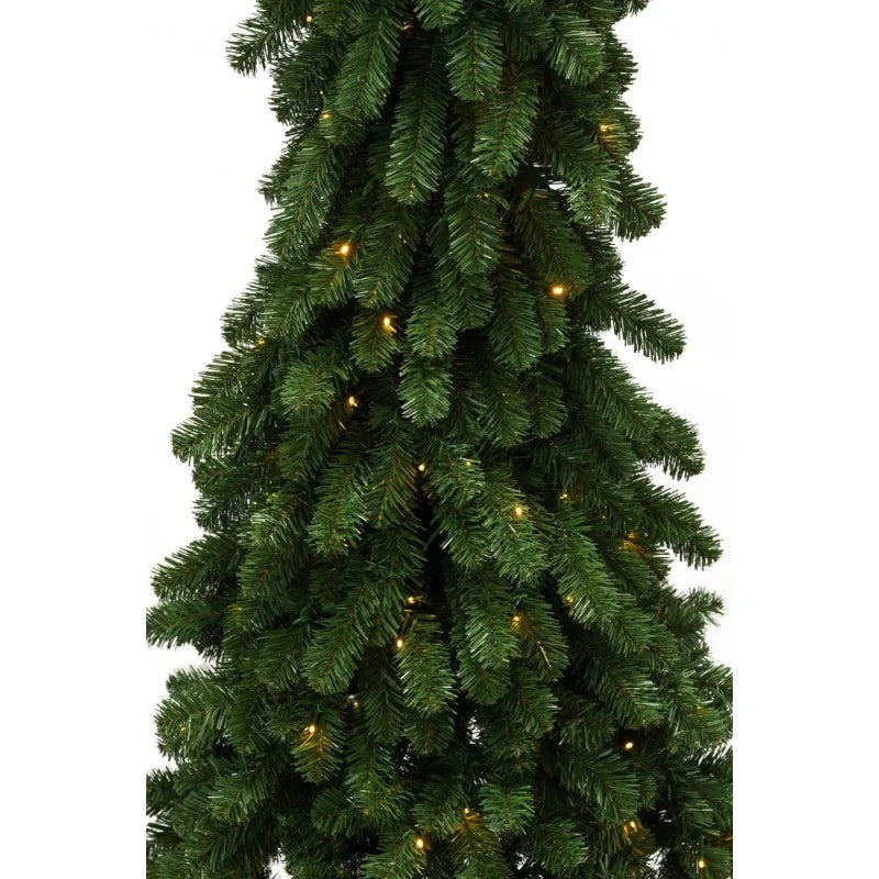 Cometa-Baum mit gebogener Spitze