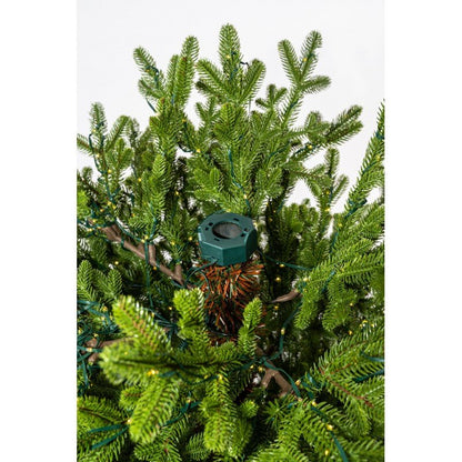 Jasper alto 225 cm acceso, i mini LED caldi brillano tra le punte verdi fitte – foto 9
