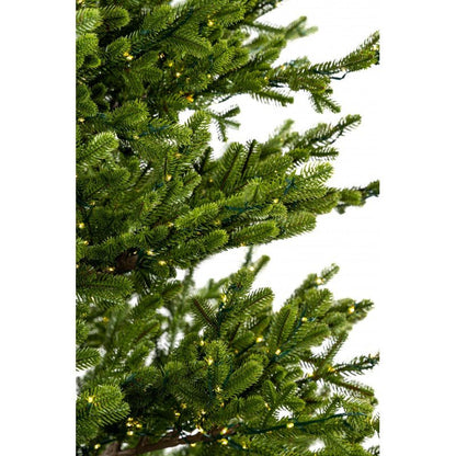 Jasper alto 225 cm acceso, i mini LED caldi brillano tra le punte verdi fitte – foto 7