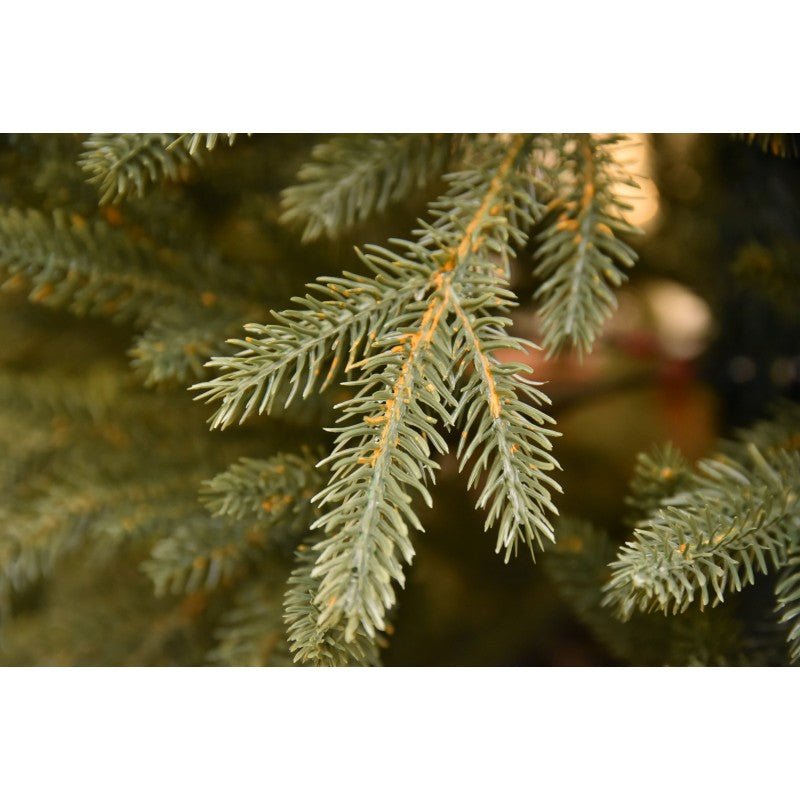 Albero di Natale artificiale Paneveggio con aghi tridimensionali in PE Real Touch, verde e molto folto – foto 7