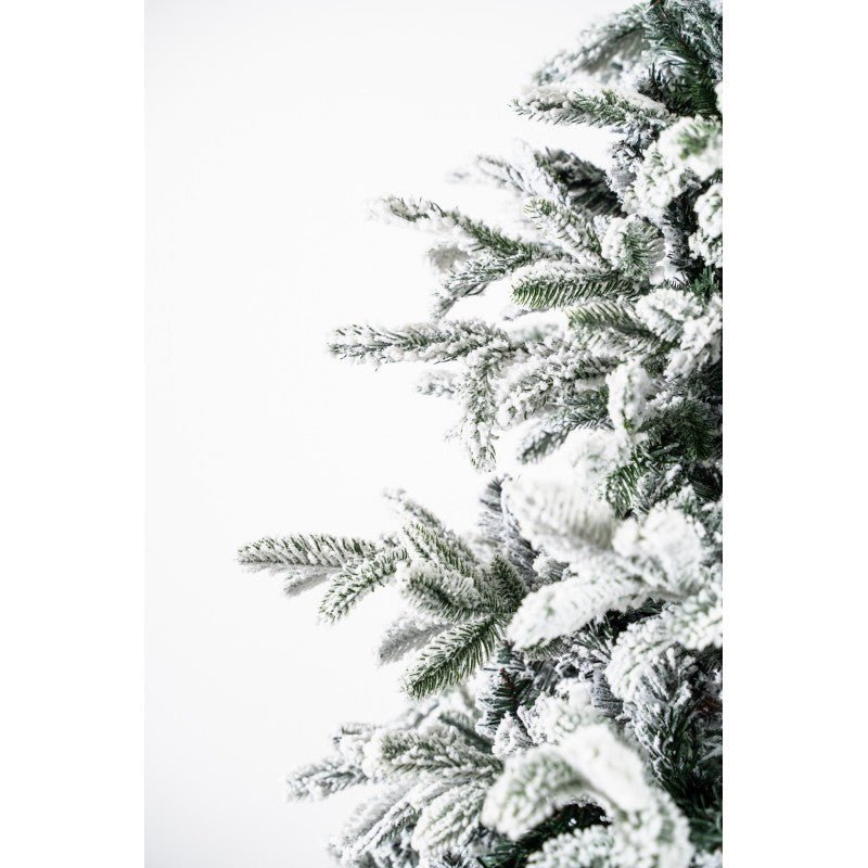 Courmayeur, albero di Natale innevato a piramide con neve fitta su rami folti – foto 5