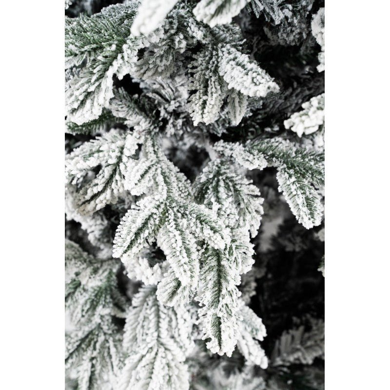 Courmayeur, albero di Natale innevato a piramide con neve fitta su rami folti – foto 8