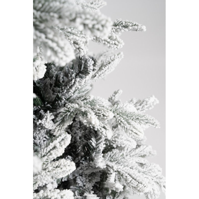 Courmayeur, albero di Natale innevato a piramide con neve fitta su rami folti – foto 7