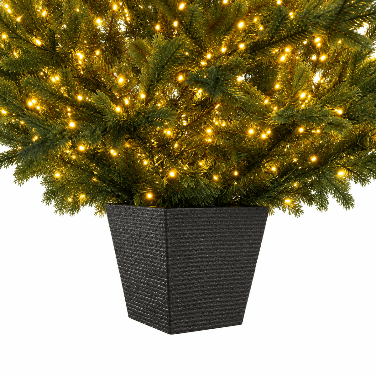 Albero di Natale Regolo illuminato da migliaia di LED, sistemato nel suo vaso quadrato – foto 3