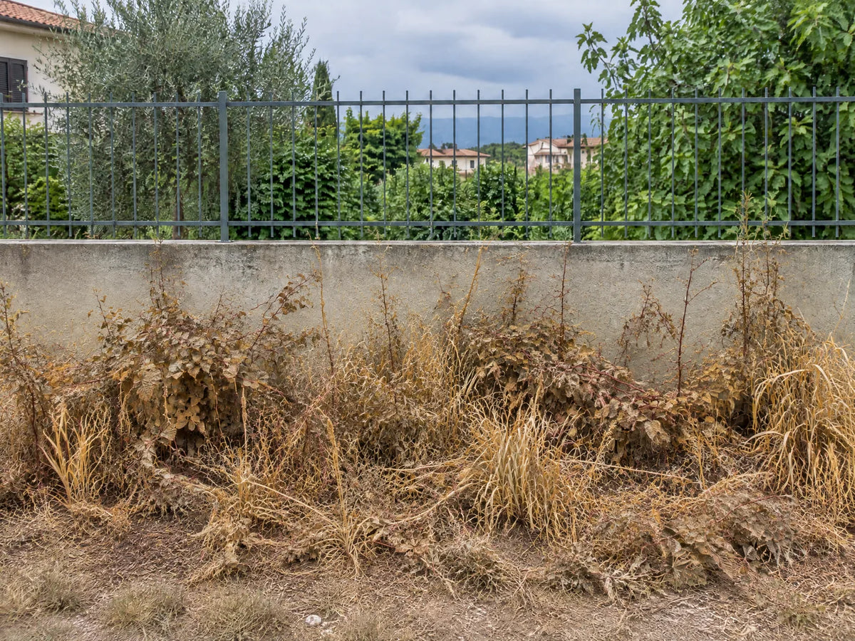 Dopo — confronto 3