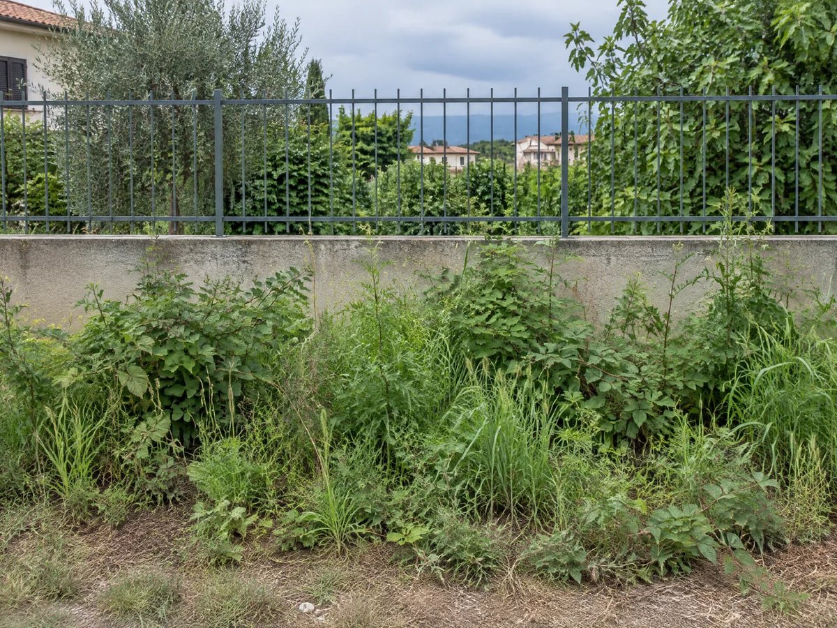 Prima — confronto 3